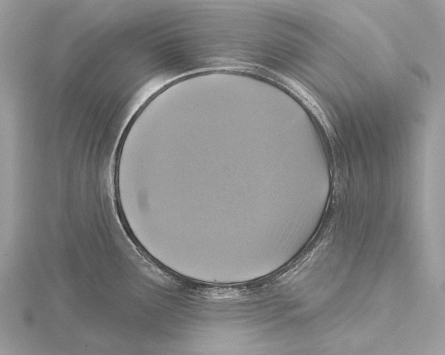 X0000115531291200912040942