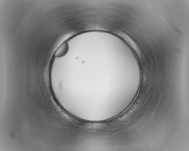 X0000115531293200912040942