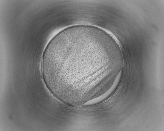 X0000115531295200912040942