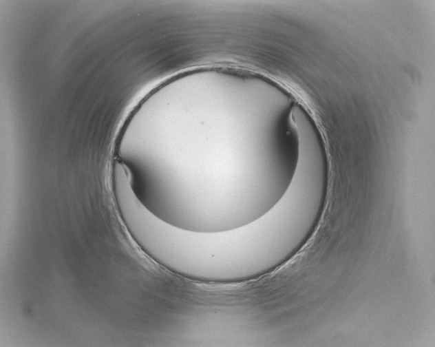 X0000115531296200912040942