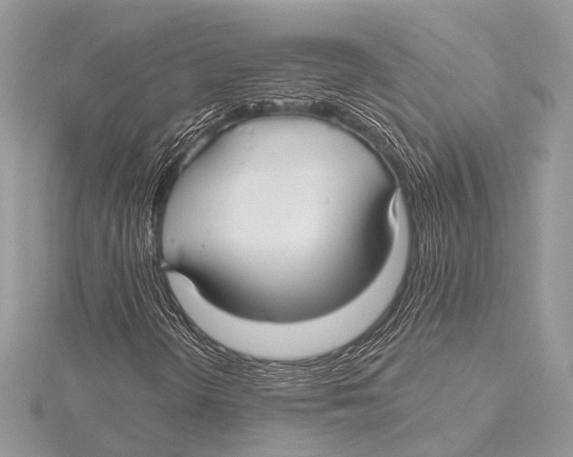 X0000115531298200912040941