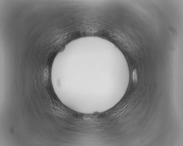 X0000115531299200912040941