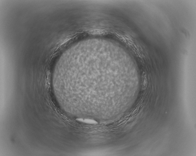 X0000115531301200912040941