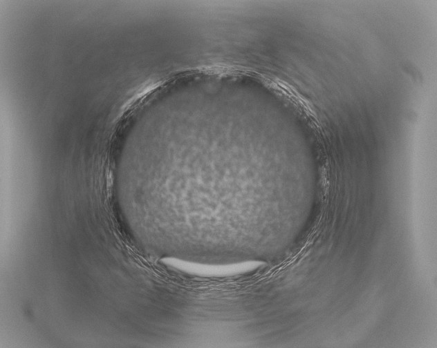 X0000115531302200912040941