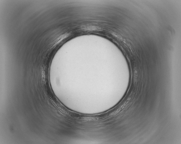 X0000115531305200912040941