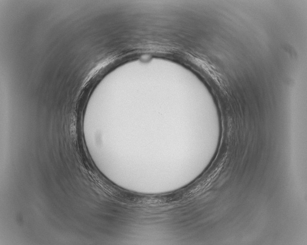 X0000115531307200912040941