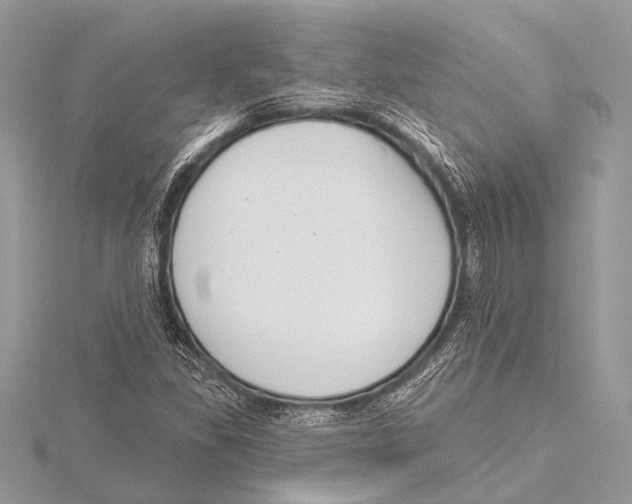 X0000115531309200912040941