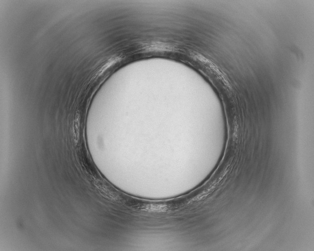 X0000115531313200912040941