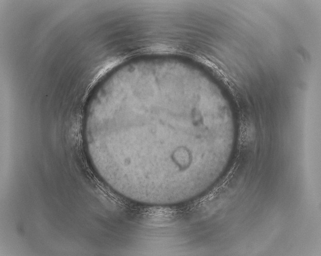 X0000115531314200912040941