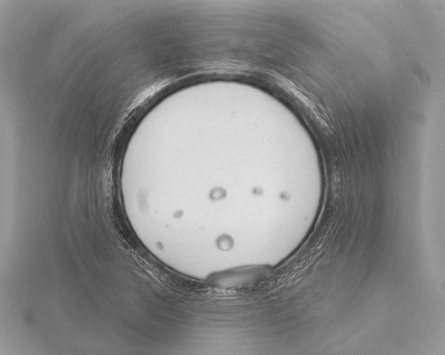 X0000115531315200912040941