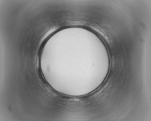 X0000115531317200912040941