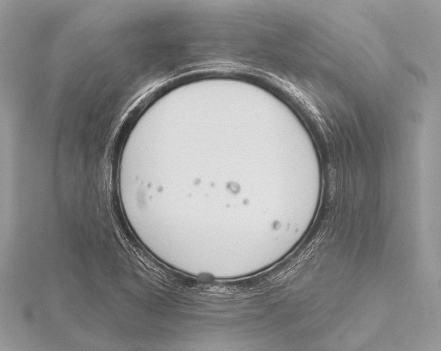 X0000115531318200912040941