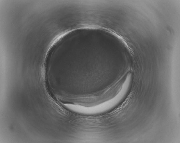 X0000115531319200912040941