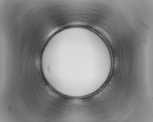 X0000115531321200912040941