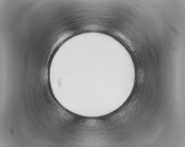 X0000115531322200912040941