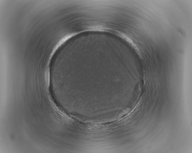 X0000115531323200912040941