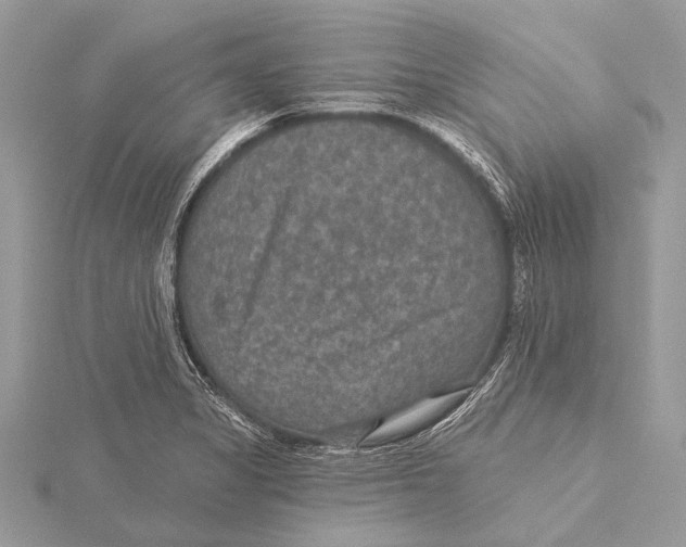 X0000115531325200912040941