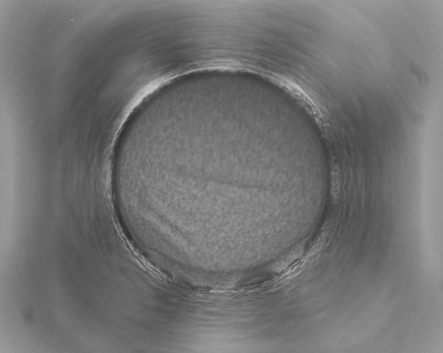 X0000115531326200912040941