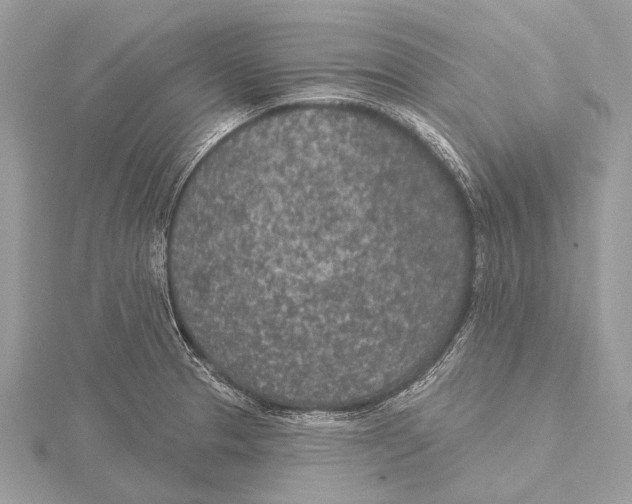 X0000115531329200912040941