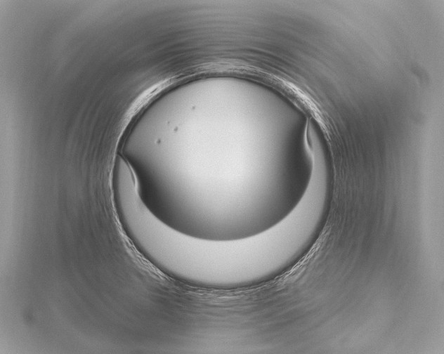 X0000115531330200912040941