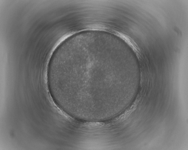 X0000115531331200912040941