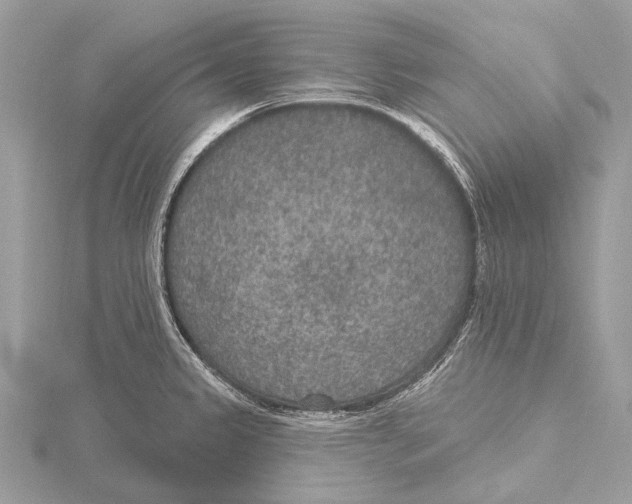 X0000115531333200912040941