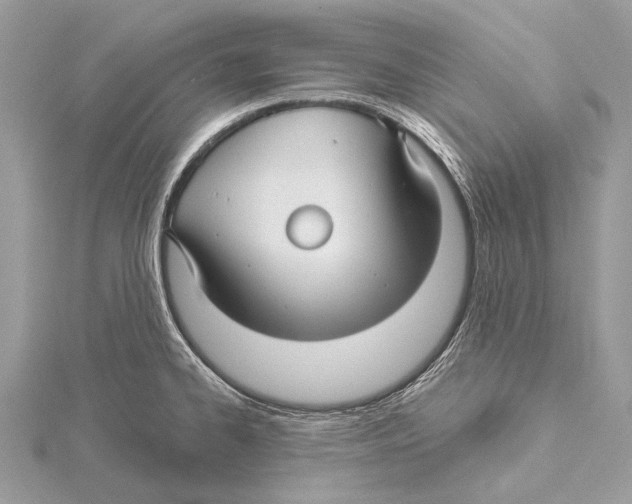 X0000115531334200912040941