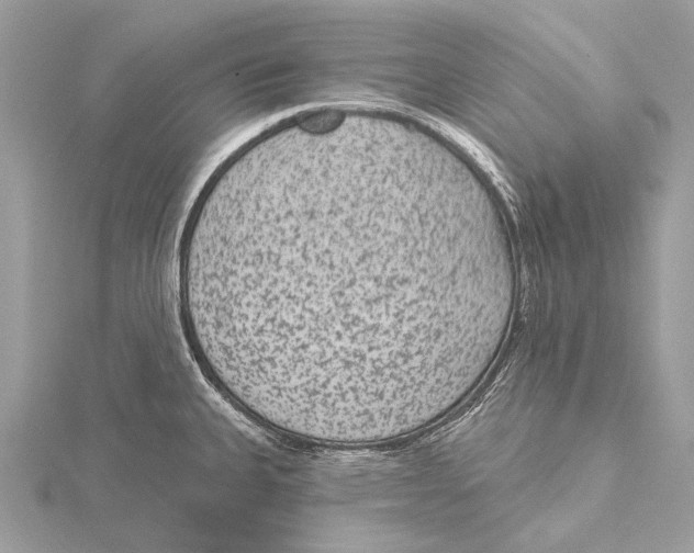 X0000115531335200912040941