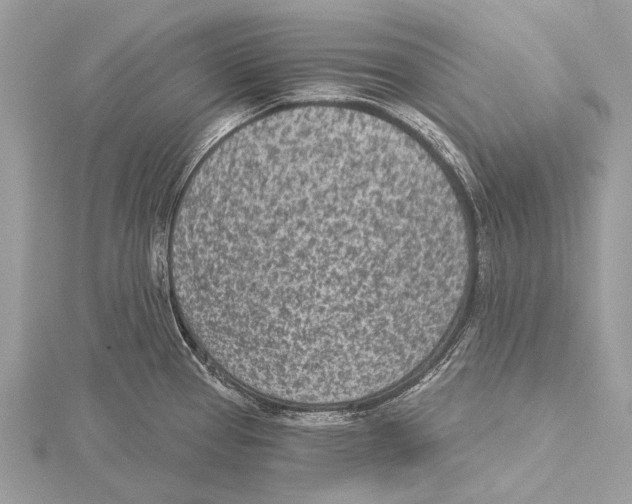 X0000115531337200912040941