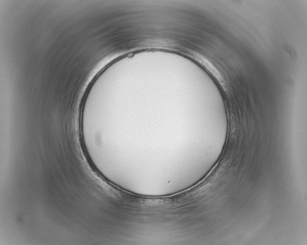 X0000115531339200912040941