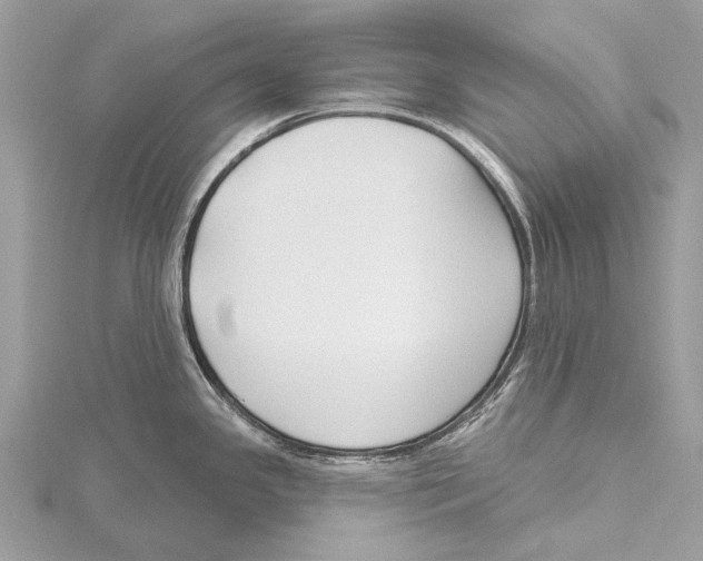 X0000115531341200912040942