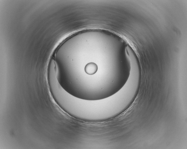 X0000115531342200912040942