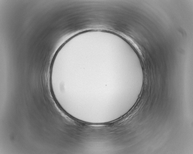 X0000115531343200912040942