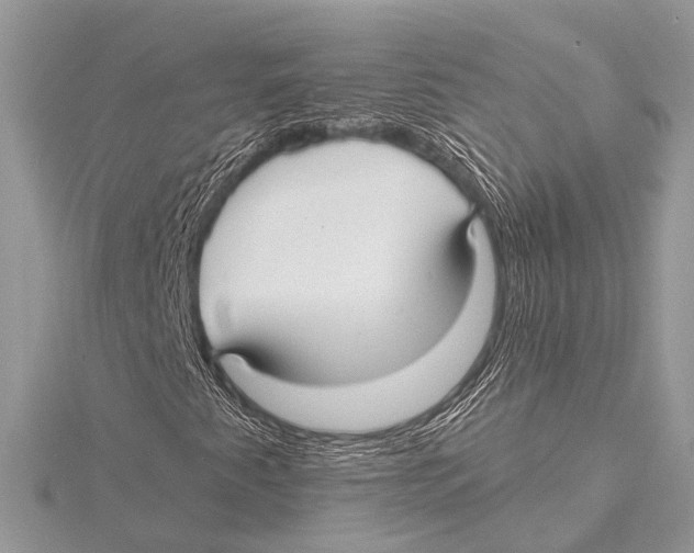 X0000115531345200912040941