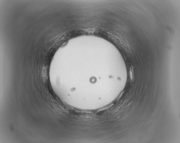 X0000115531347200912040941