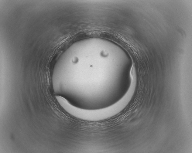 X0000115531348200912040941