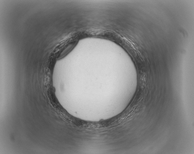 X0000115531349200912040941