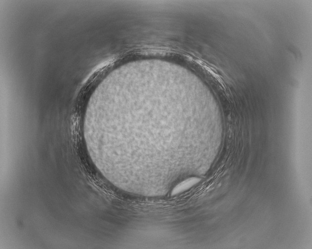 X0000115531351200912040941