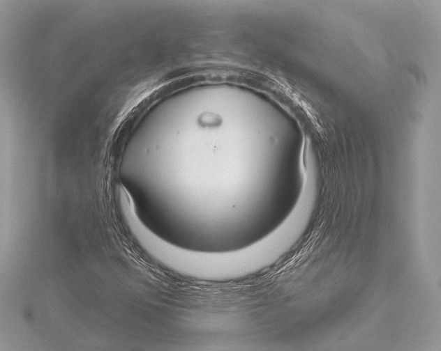 X0000115531352200912040941