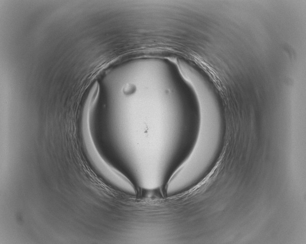 X0000115531353200912040941