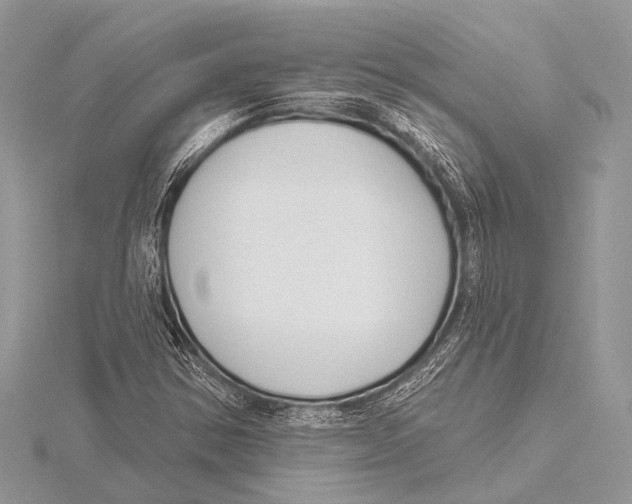 X0000115531354200912040941