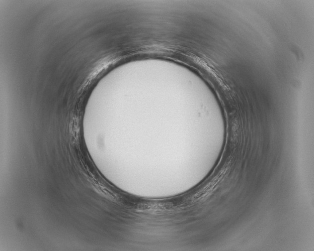 X0000115531355200912040941