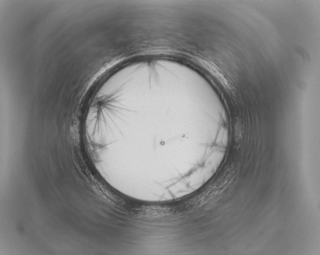 X0000115531356200912040941