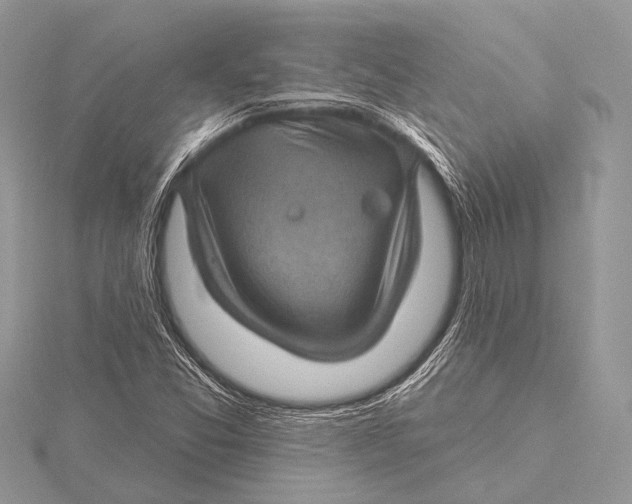 X0000115531357200912040941