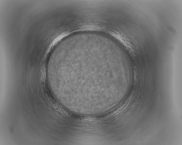 X0000115531358200912040941