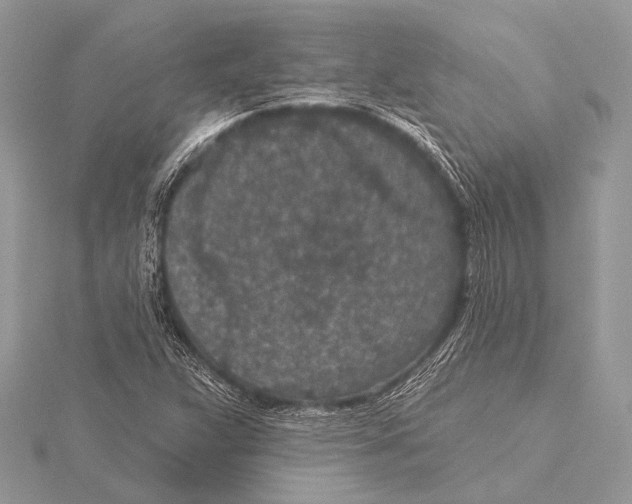 X0000115531359200912040941