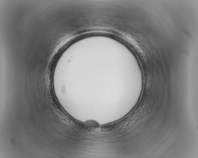 X0000115531360200912040941