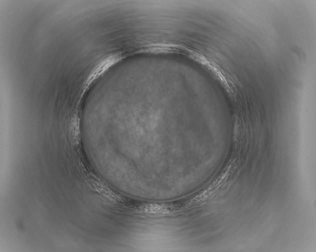 X0000115531362200912040941