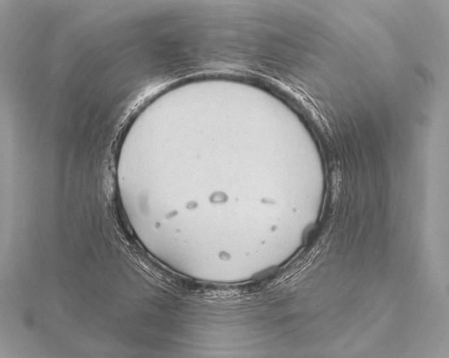 X0000115531363200912040941