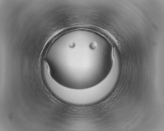 X0000115531364200912040941